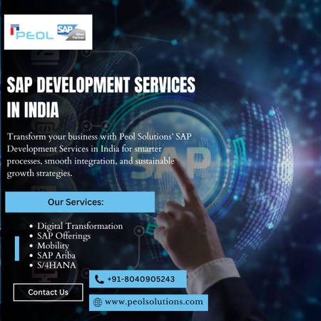 SAP Development Services in India 1