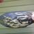 Painted Blue Jay Mussel Shell by Harpole 3 thumbnail