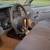 1998 Chevy silverado shortbed 8 thumbnail