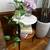 2 Marble and wood accent, side tables 1 thumbnail