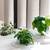 Click and Grow Smart Garden 27 3 thumbnail