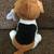 Banjo the Dog TY Beanie Baby-10/25/2011 3 thumbnail
