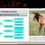 yrlg grade paint colt / horse 10 thumbnail