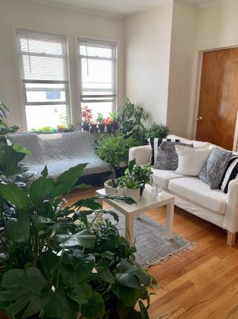 $1,000 / 4br - Room in 4br Available in Sunnyside/Woodside. Available Nov 1st (Sunnyside/Woodside)64033291583233120