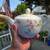 German china porcelain Hutschenreuther Selb Bavaria Floral Tea Pot & 2 thumbnail