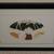 Leticia Tarrago - “Ave Zancuda” Framed Signed Limited Edition Aquatint 3 thumbnail