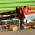 Black & Decker Electric Chainsaw 1 thumbnail
