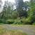 Tiny Home Lot on 10 acres 4 thumbnail
