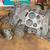 Chevrolet Monte Carlo El Camino 78-88 G Body parts 5 thumbnail