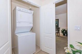 $2,669 / 2br - 979ft2 - 2 bedroom, Den/Study, Los Angeles CA (1221 W. 3rd St., Los Angeles, CA)63953075794819122
