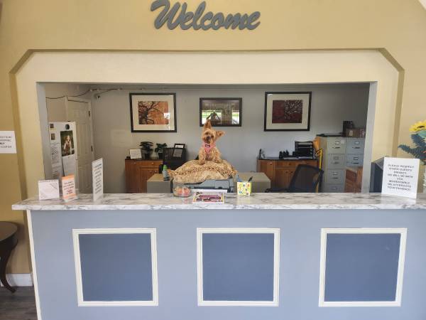 $148 / 1br - 300ft2 - BRING YOUR HUMAN TO FOUR SEASONS INN!!! (Branson)63754856556163122