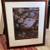 Timothy Wolcott Framed Nature Photographs - Artists Proof 1 thumbnail