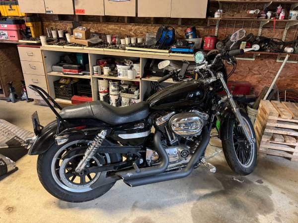 2008 sportster 1200 1
