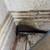 Seeking Lawyer for Help with Rat Infestation in Apartment 1 thumbnail