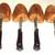 Rochester Adjustable Red Cedar Shoe Trees 2 thumbnail