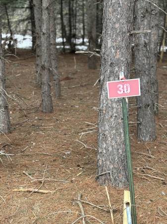 52.000Rhinelander 1
