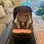 Babytrend Car Seat 1 thumbnail