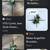 RARE (3) Vintage Sculptures / Wall Art 9 thumbnail