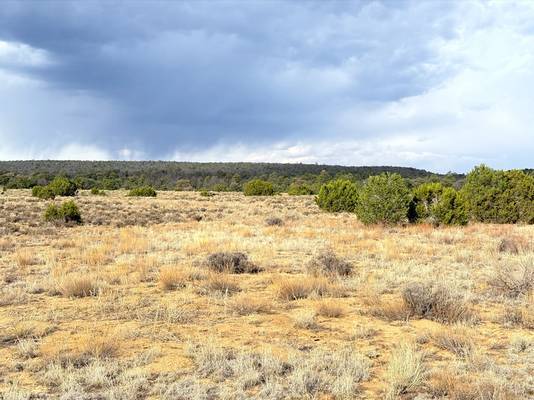 $9,150 Adventurer & Builder's Haven 2.5 Acre at $150/mo63659797944321123