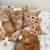 Cute Cuddly Kittens for Adoption 4 thumbnail