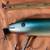Vintage Creek Chub Bait Co CCB Mullet Husky Pikie #2307 Lure Turquoise 6 thumbnail
