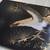 Framed Japanese Eagle Painted plaque 5 thumbnail