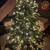 Led 2 year old Christmas Tree 6 thumbnail
