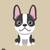 Rehoming Boston Terrier 1 thumbnail