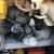 BOAT PARTS MERCRUISER VOLVO OMC 10 thumbnail