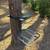 TREE STAND 1 thumbnail