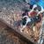 Dogs 3 thumbnail