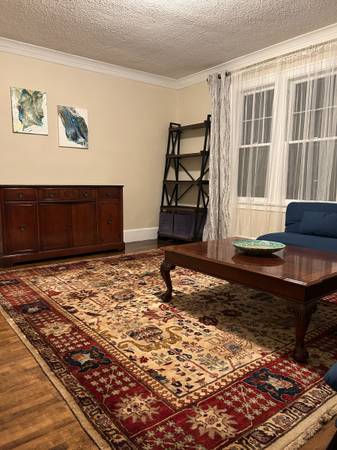 $1,600 / 1br - 800ft2 - Apartamento de 1 dormitorio y 1 baño (Unidad 1) en alquiler (Minneapolis)63868699045249121