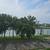 4504 Pontchartrain Dr. Unit 1C 13 thumbnail