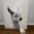 Alpaca Canva Black & White Portrait  plus cute Alpaca mug 1 thumbnail