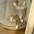 Missing cat 4 thumbnail