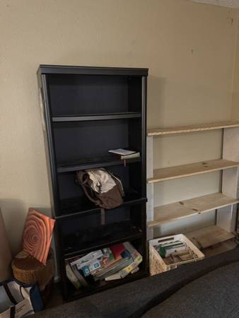 book shelf 1
