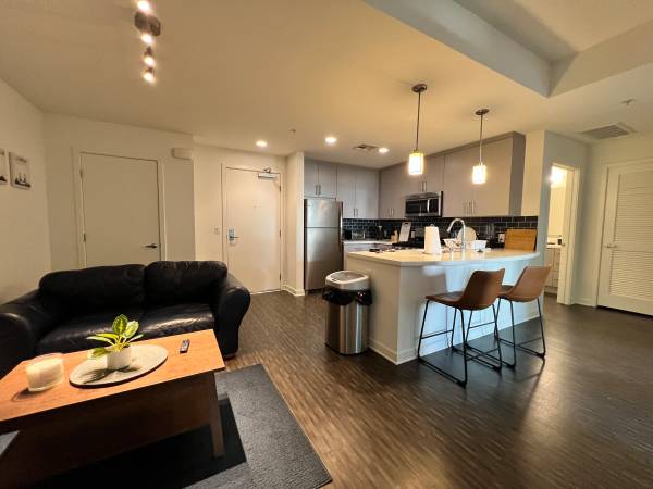 $1,500 / 1300ft2 - Downtown - Furnished Room in Luxury Building with Amenities (DTLA)63701166430081121