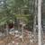 4788 WI-17 12 thumbnail