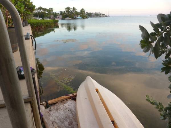 $4,000 ¿Quieres mantener tu barco en el agua? ¿También alquilas? (Key West)63838115215235121