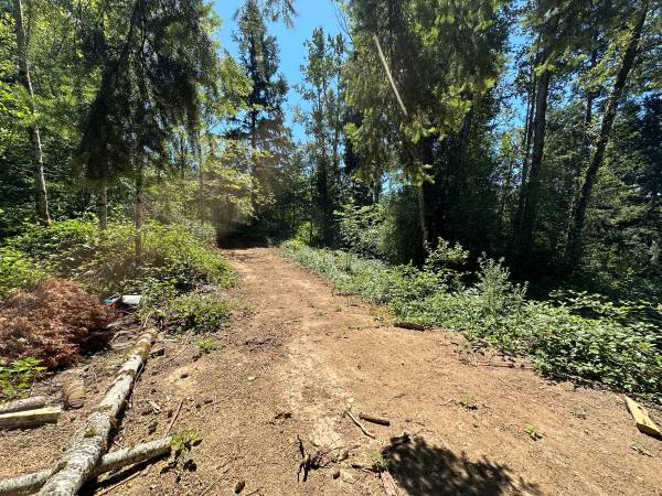 $100,000 5 Acres in Kelso64039056855425123