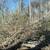 Professional Forestry Mulcher 23 thumbnail
