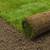 Sod installation(i take credit cards ) 11 thumbnail