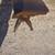 Antique Eastlake Victorian Side Table With Rollers 5 thumbnail