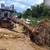 JUAN PALMAS LLC TREE CUT DOWN🌳➖STUMP GRINDING🌴REMOVAL🌳TRONCOS🌲PALM 12 thumbnail
