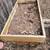 Small Raised Garden Bed 2 thumbnail