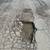 ASPHALT SEALCOATING & CRACK REPAIR, PATCHING, DRIVEWAY SEAL COATING 7 thumbnail