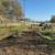 10 Acres AMAZING views Gilroy. Animal property. Duke Drive 20 thumbnail