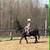 Super nice pony! 1 thumbnail