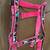 Pony halters 3 thumbnail