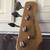Marcus Miller Sire U5 2 thumbnail